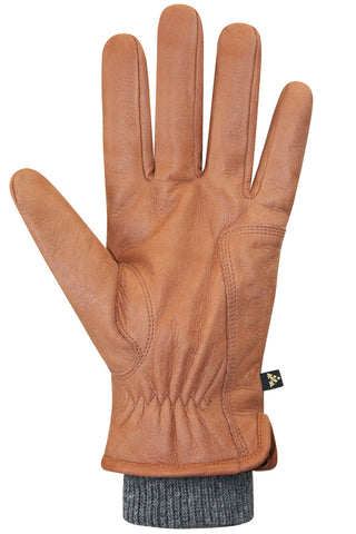 Aiden Thinsulate Glove in 2 Colours
